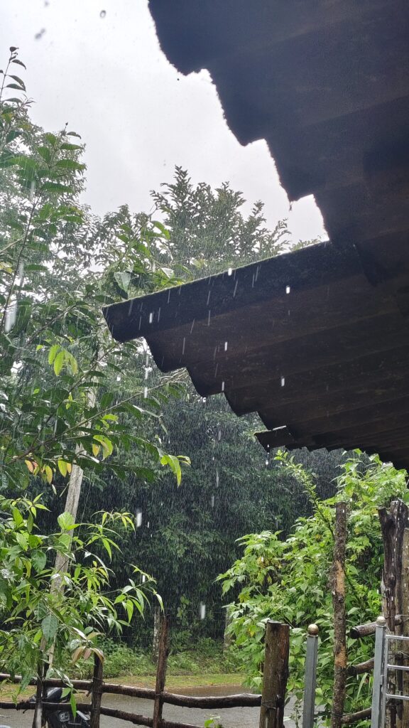 Weather report: